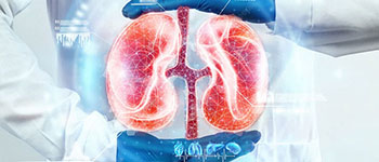 Nephrology KANPUR